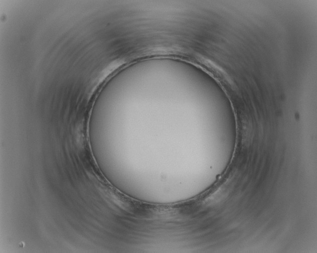 X0000074331170200609082025