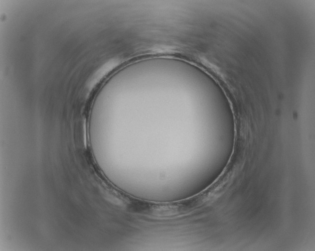 X0000074331171200609082025