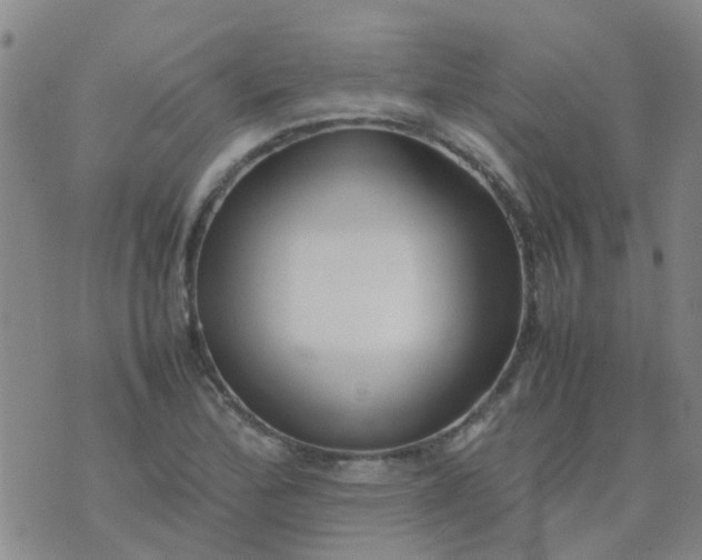 X0000074331172200609082025