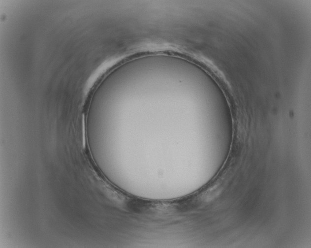 X0000074331175200609082025