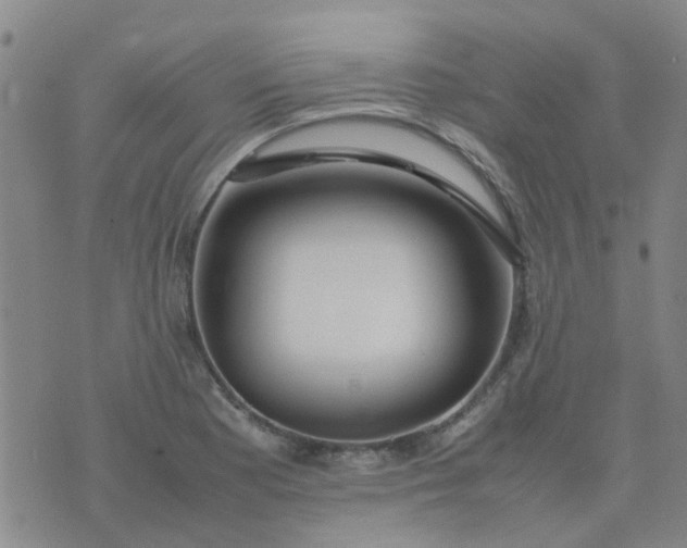 X0000074331177200609082025