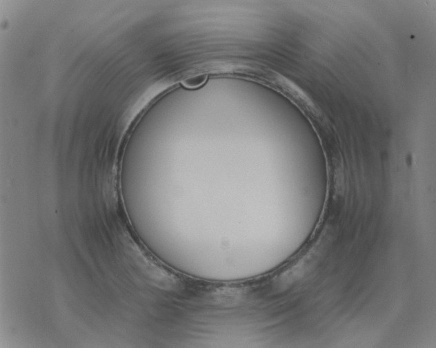 X0000074331178200609082025