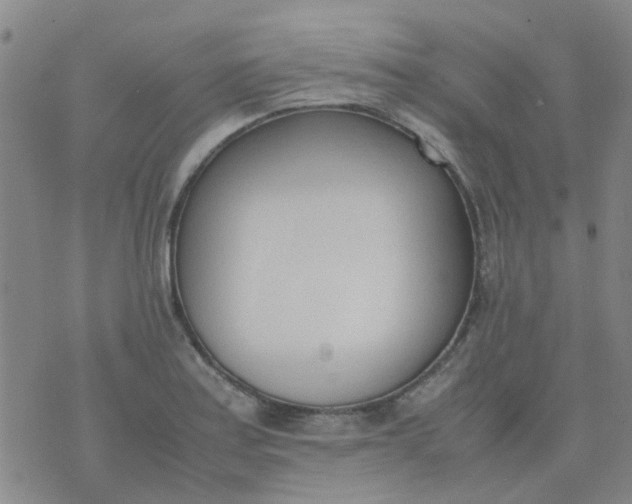 X0000074331179200609082024