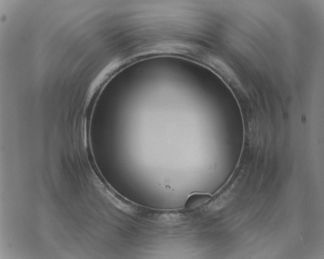 X0000074331180200609082024