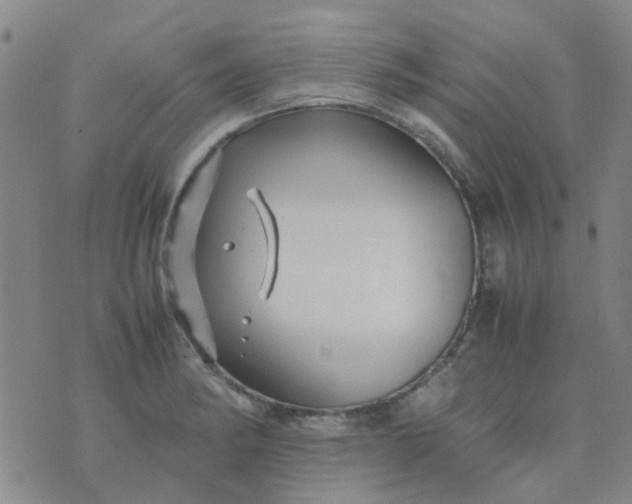 X0000074331182200609082024