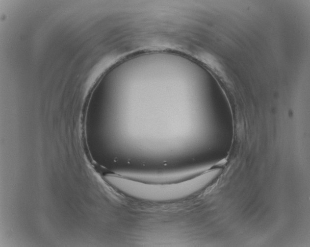 X0000074331183200609082024