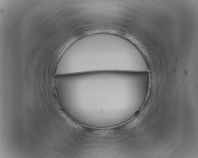 X0000074331185200609082024