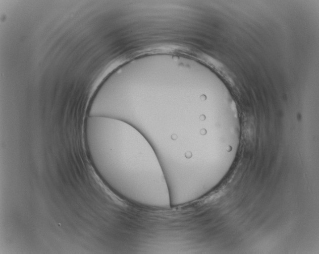 X0000074331186200609082024