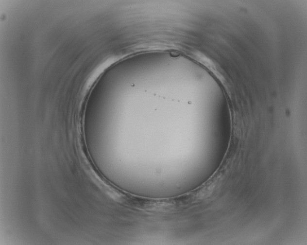 X0000074331187200609082024