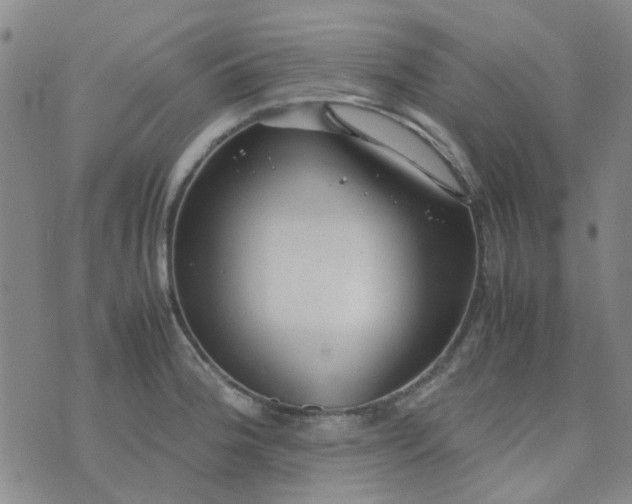 X0000074331188200609082024