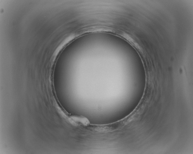 X0000074331189200609082024