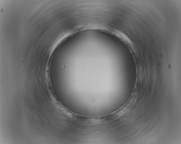 X0000074331190200609082024