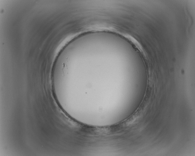 X0000074331191200609082024