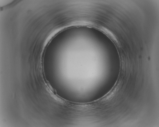 X0000074331192200609082024