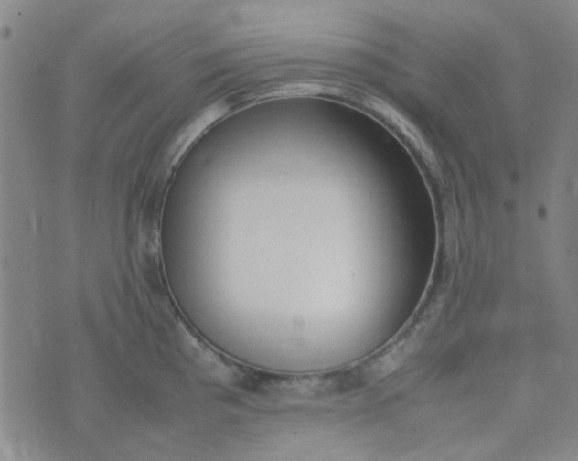 X0000074331193200609082024