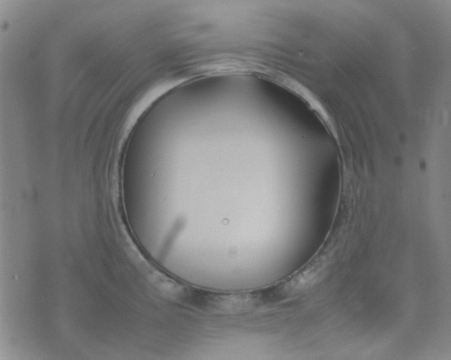 X0000074331195200609082024