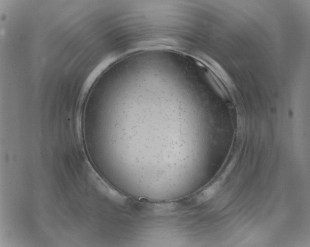 X0000074331196200609082024