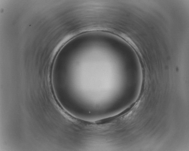 X0000074331197200609082024