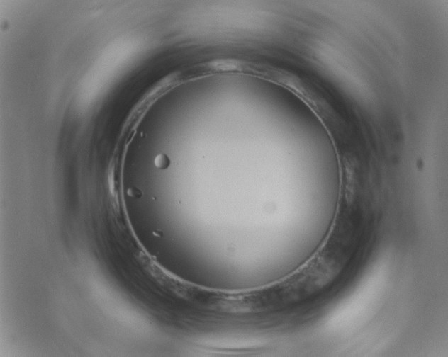 X0000074331198200609082024