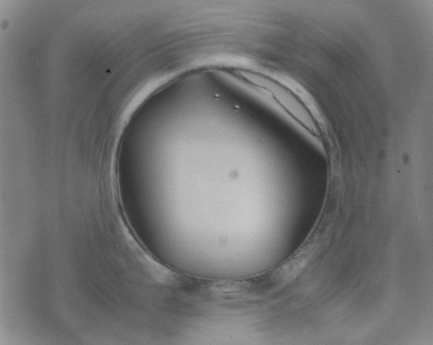 X0000074331199200609082024