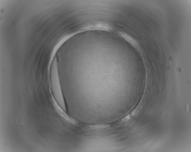 X0000074331200200609082024