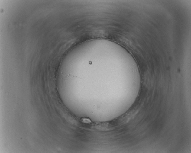 X0000074331201200609082023