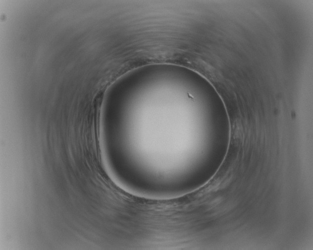 X0000074331202200609082023