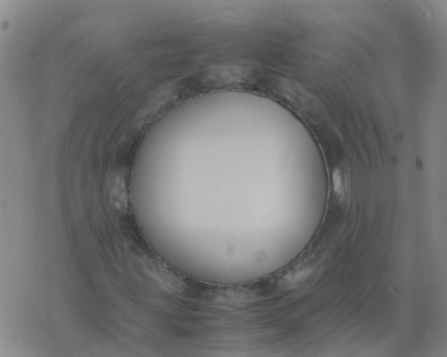 X0000074331203200609082023