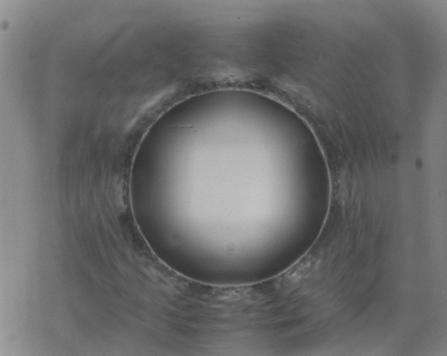 X0000074331205200609082023