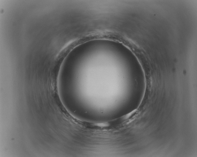 X0000074331206200609082023