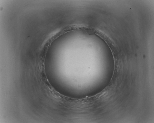 X0000074331207200609082023