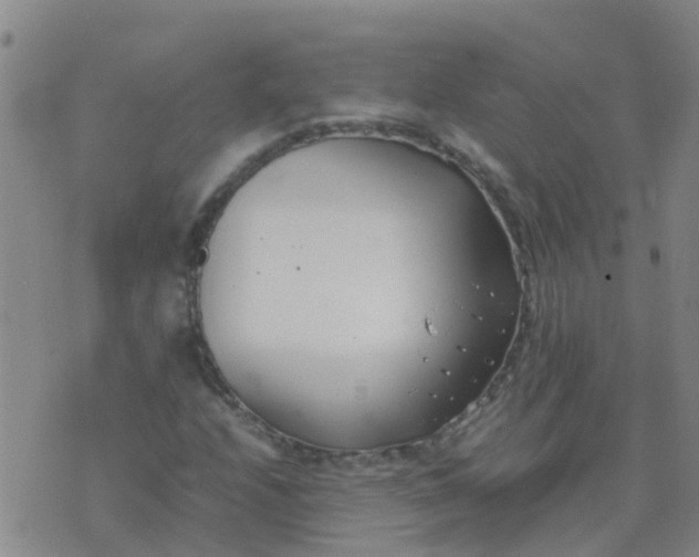 X0000074331208200609082023