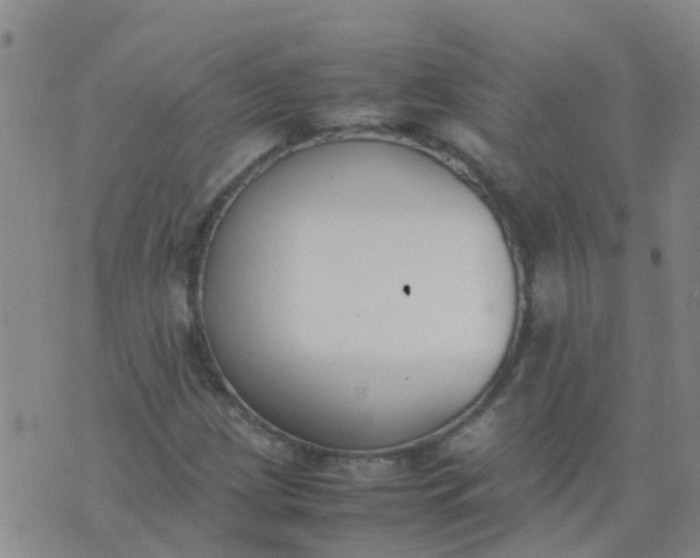 X0000074331209200609082024