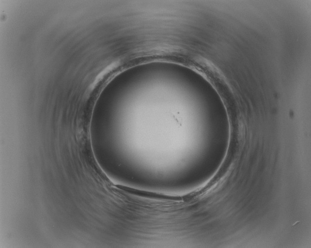 X0000074331210200609082024