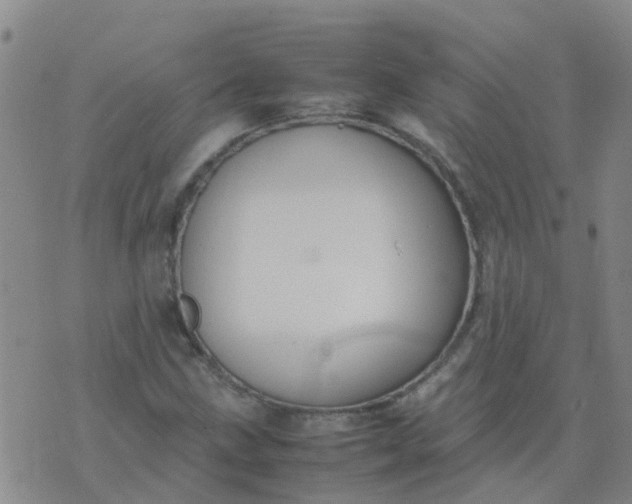 X0000074331211200609082024