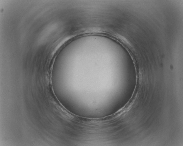 X0000074331212200609082024