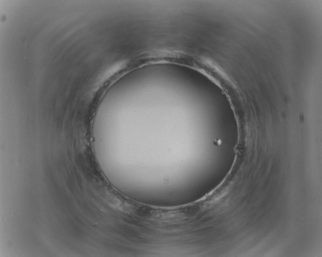 X0000074331213200609082024