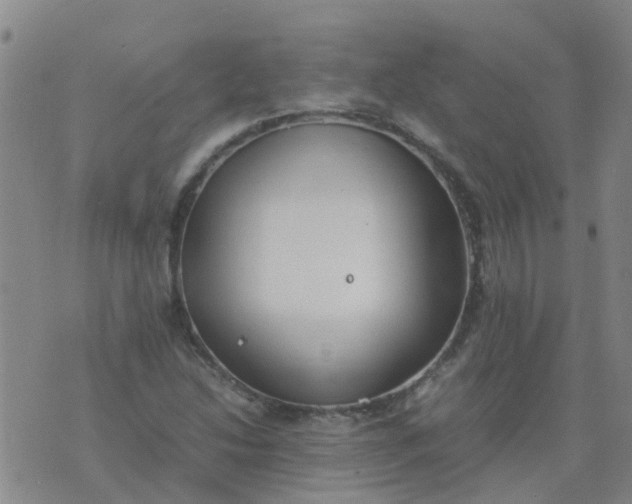 X0000074331214200609082024