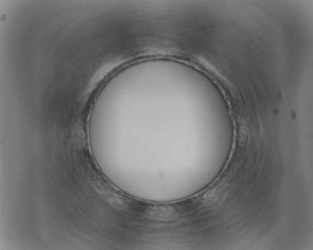 X0000074331215200609082024