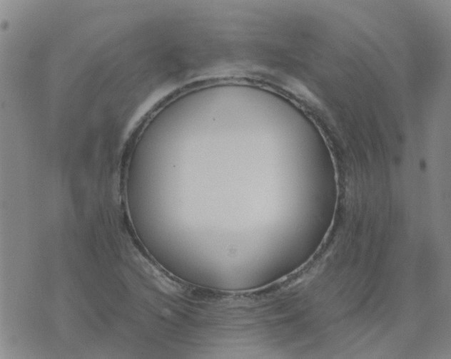 X0000074331216200609082024