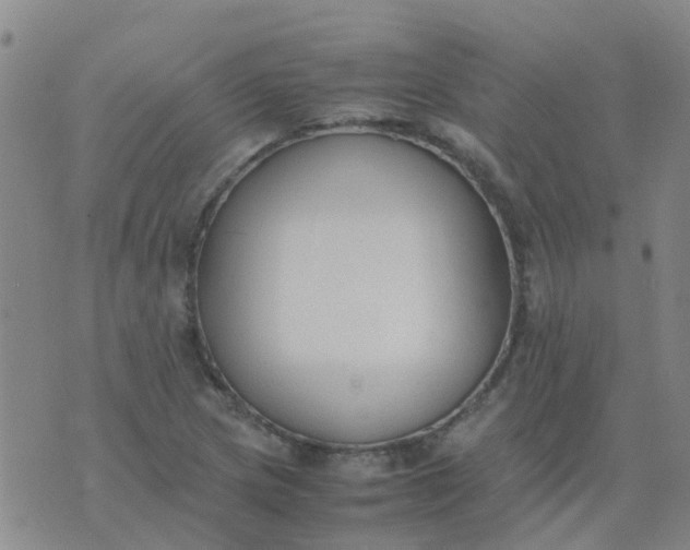 X0000074331217200609082024