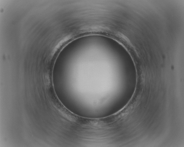 X0000074331218200609082024