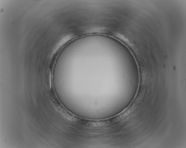 X0000074331219200609082024