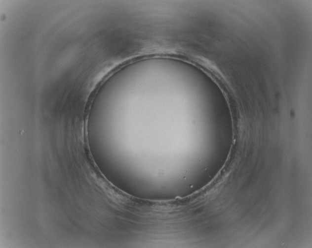 X0000074331220200609082024