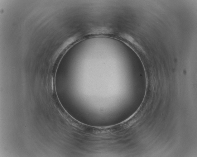 X0000074331221200609082024