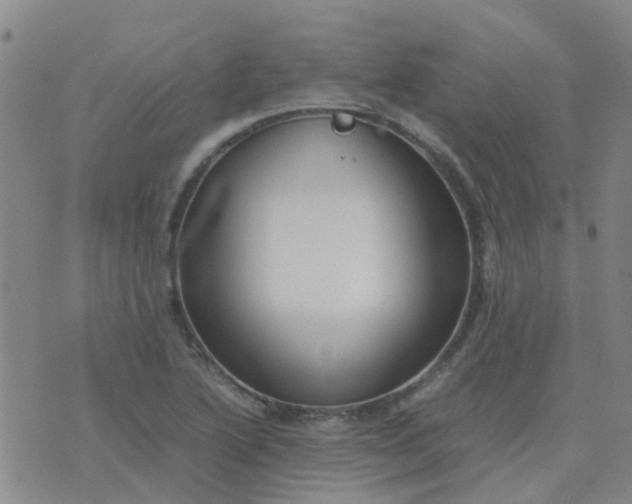 X0000074331222200609082024