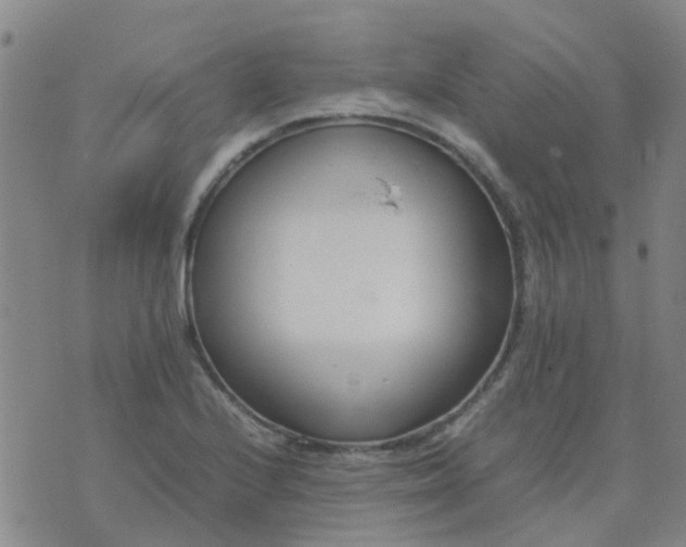 X0000074331224200609082024