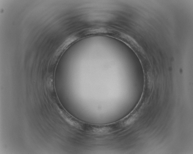 X0000074331225200609082024