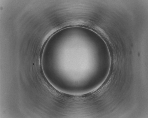 X0000074331226200609082024