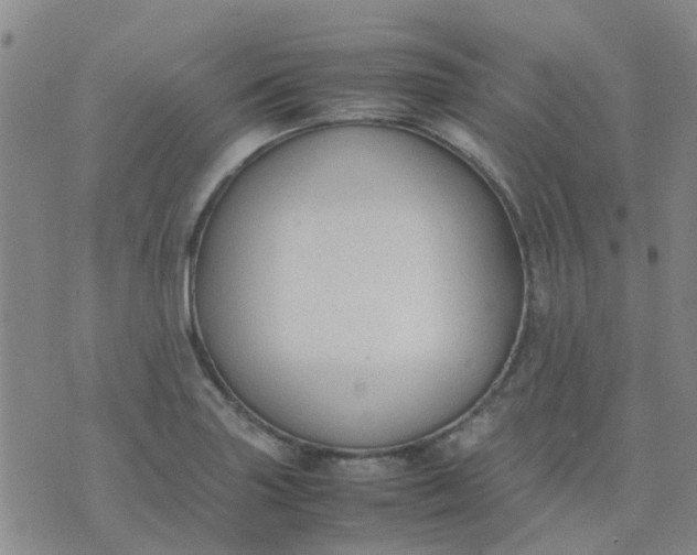 X0000074331227200609082024